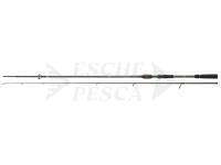 Canna Daiwa Ballistic Air 2.40m 14-42g