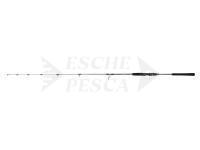 Canna Penn Regiment IV Jigging Spinning 1.82m max 250g