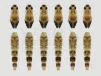 Hemingway's Mayfly Wings Buds and Back - Medium | Yellow / Ephemera Danica