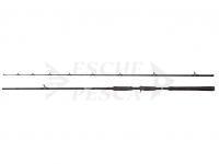 Canna Abu Garcia Beast Pike Casting 2.54m 40-140g