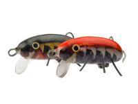 Hunter Insect