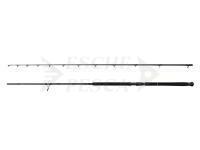 Canna Savage Gear Defiance SG2 Shore Jigging 2.90m 50-120g