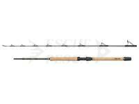 Canna Regiment IV Pro Boat 2.10m F 20-30lb 2Sec Conv