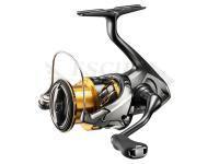 Novità da Dragon, Shimano, Prologic 