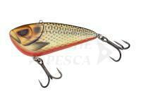 Esca Madcat VIB 12cm 150g - Rudd
