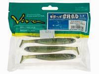 Esca Siliconicha Viva Kiracchi Shad 3.8 inch - 060