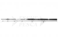 Canna Daiwa BG Offshore Pilk 2.10m 40-125g