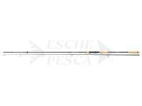 Daiwa Legalis Allround