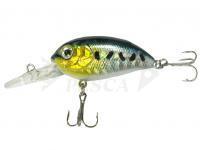 Esca Jaxon Atract Aris 4cm 4.8g Floating - C
