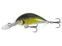 Esca Kenart Shark 4cm GF