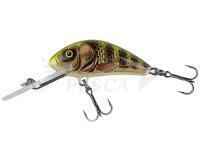 Esche Salmo Salmo Hornet 5cm 7g F - Real Identity Perch