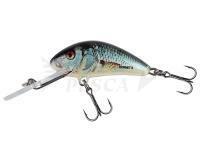 Esche Salmo Salmo Hornet 5cm 8.2g S - Real Dace