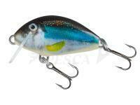 Salmo Tiny IT3F - Holo Smelt (HSM)