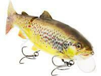 Westin Tommy the Trout