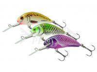 Salmo Hornet