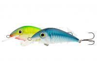 Hunter Esche Lider 5