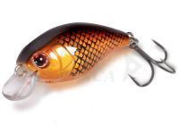 Quantum Esche Magic Trout Hustle and Bustle River