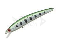 Smith Panish Area 55R