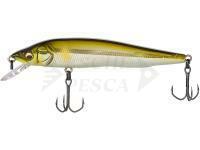 Megabass Vision Q-GO