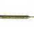 Fish Arrow Esche AirBag Minnow