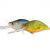 Dorado Huron
