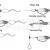 Pontoon 21 Soft baits Pillo