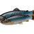 Savage Gear 3D Craft Trout PulseTail Bulk