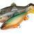 FOX Rage Esche Giant Replicant
