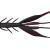 Jackall Jimmy Shrimp 3.8