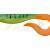 Illex Dexter Eel