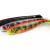 FOX Rage Esche Siliconiche Pro Shad Natural Classic Ultra UV Bulk