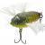 Tiemco Esche Soft Shell Cicada Hair Wing