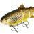 Westin Tommy the Trout Inline