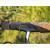Mikado Bixlite Pro Light Feeder