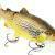 Westin Tommy the Trout