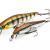 Pontoon 21 Esche Cheeky