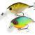 Strike Pro Esche Cranky-X