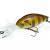 Pontoon 21 Esche Deephase