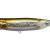 Megabass DOG-X Quick Walker