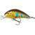 Mikado Fishunter Cavalier