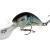 Salmo Hornet 6 cm