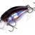 Quantum Esche Magic Trout Hustle and Bustle River