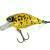 Lucky John Original Chubby DRF