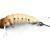 Wob-Art Pedrak - Insect Grub