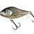 Salmo Slider 10 cm