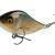 Salmo Slider 12 cm