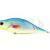 Dorado Tempter 18 Big Mama