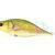 Dorado Tempter 18 Big Mama